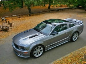 2006saleen_2006-Ford-Mustang-S281-Scenic-Roof-001_4