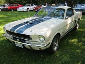 Shelby Mustang 66 1 bb GT350