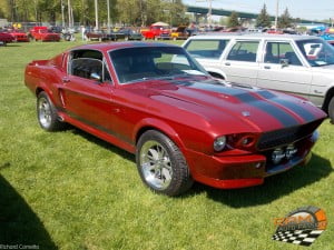 Mustang Eleonar