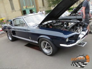 shelby gt 500-2