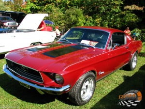 Mustang 10