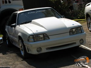 Mustang 11