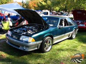 Mustang 6