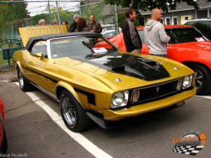 Mustang 73