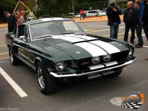 Shelby GT 350  1