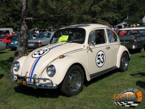 Volkswagen Beetle 25