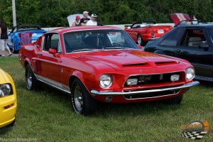 Super Ford Show 2015  (20)