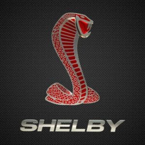 Shelby